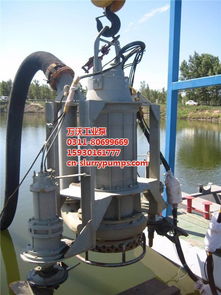 ZJQ40 20DQSZ北京潜水泵 潜水矿浆泵高清图片 高清大图